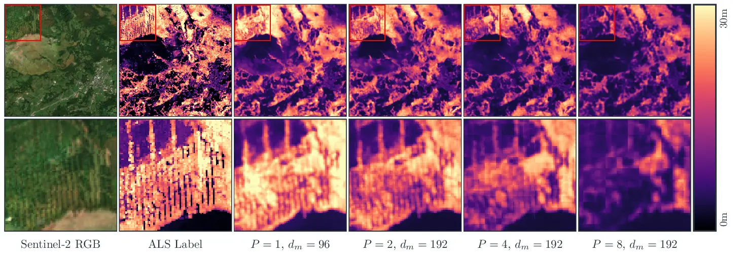 Pixel-Level Transformers in Remote Sensing: A Canopy Height Case Study